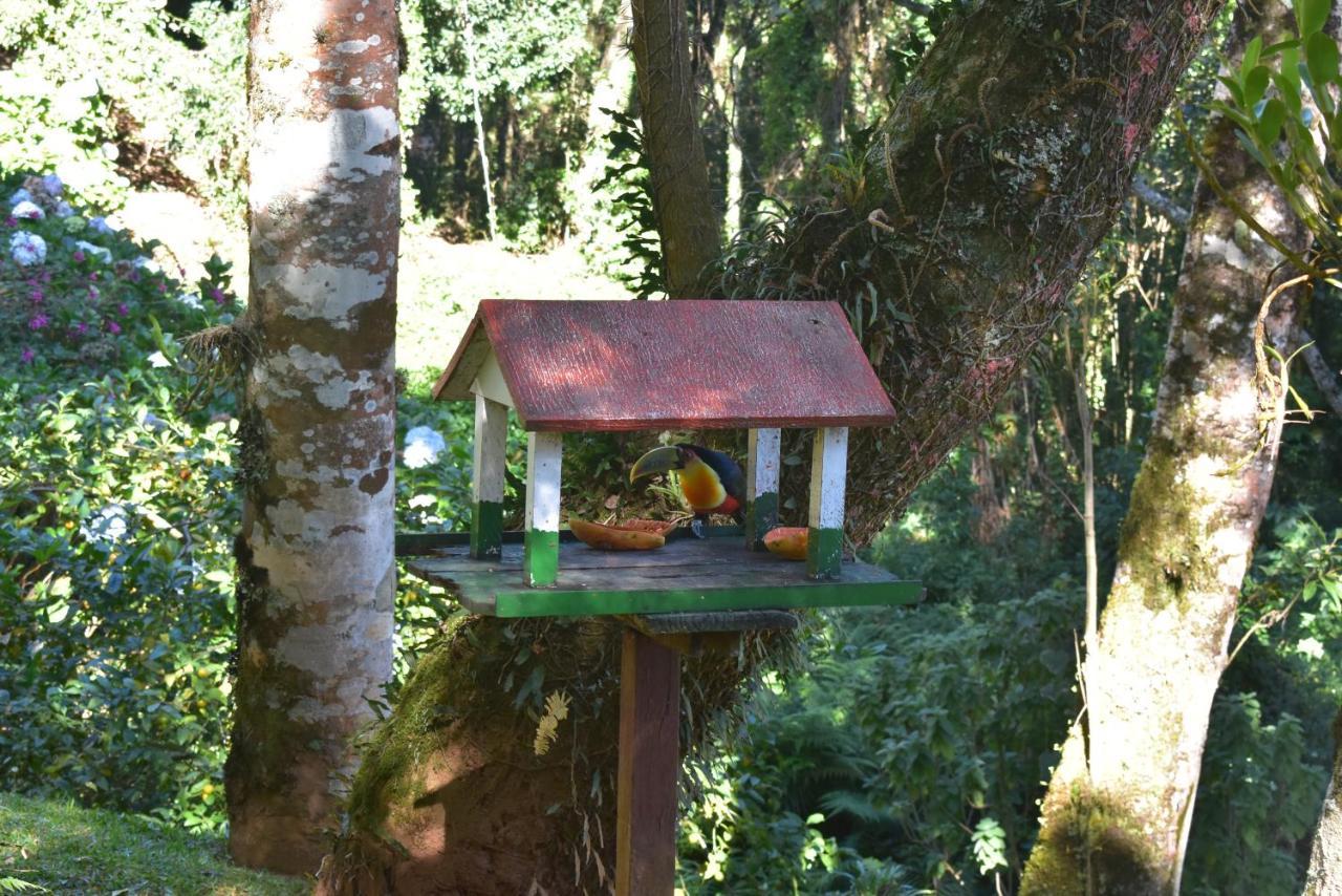 Pousada Amanita Monte Verde Monte Verde  Exteriör bild